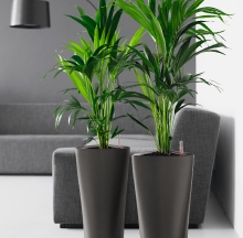 Plant Containers 21