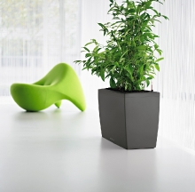 Plant Containers 30