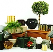Plant Containers 8