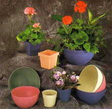 Plant Containers 4