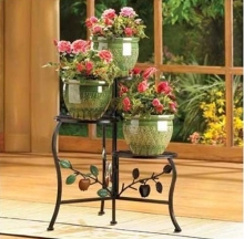 Plant Care Inc. 7 Plant Care Inc. 7