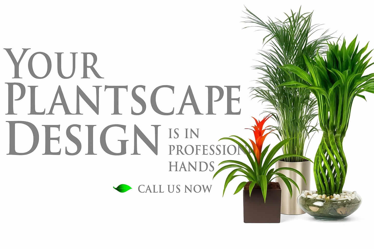 Plant Care Inc